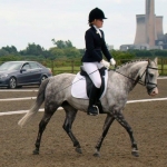 Area Dressage Qualifier - Bold Heath 2017