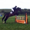 Area 4 Show Jumping 2017