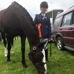 Area 4 Show Jumping 2017