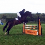 Area 4 Show Jumping 2017