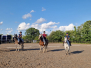 Dressage Lesson June 23