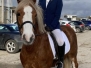 Dressage WLC Feb 23