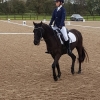 winter-dressage-17thNov19-5