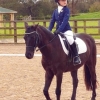 winter-dressage-17thNov19-7