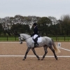 winter-dressage-17thNov19-9