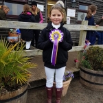 winter-dressage-17thNov19-10