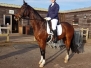 Dressage Winter League #3 January 2020
