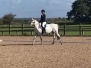 Dressage Winter League Sep 2020