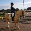 winter-dressage-20thOct19-13