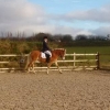 20161127 dressage 1