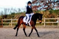 20161127 dressage 2