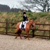 20170319 Dressage 1