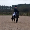 20170319 Dressage 3