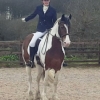 20170319 Dressage 7