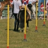 EMG_2018#12