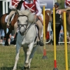 EMG_2018#21