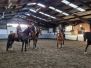 Flat Work Lesson - April 2023