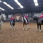 Flatwork Lesson at Pauls Farm