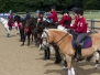 Horse Ball