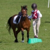 Prince Philips Mounted Games Area 4 Competition