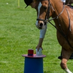 Prince Philips Mounted Games Area 4 Competition