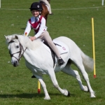 Prince Philips Mounted Games Area 4 Competition