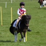 Prince Philips Mounted Games Area 4 Competition