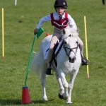 Prince Philips Mounted Games Area 4 Competition