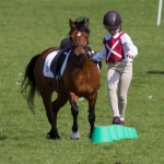 Prince Philips Mounted Games Area 4 Competition
