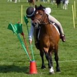 Prince Philips Mounted Games Area 4 Competition