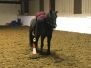 Mounted Games Lesson 25th October 2019
