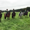 Musical Rider - Chalmondley Castle Championships 2017