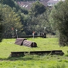 IMG_2919