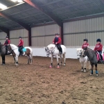 Show Jumping Lesson at Landlords