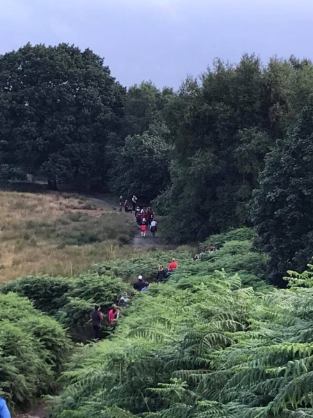 Sponsored Walk 2018 #3