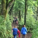 Sponsored Walk 2018 #2