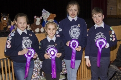 IMG_3531_lr